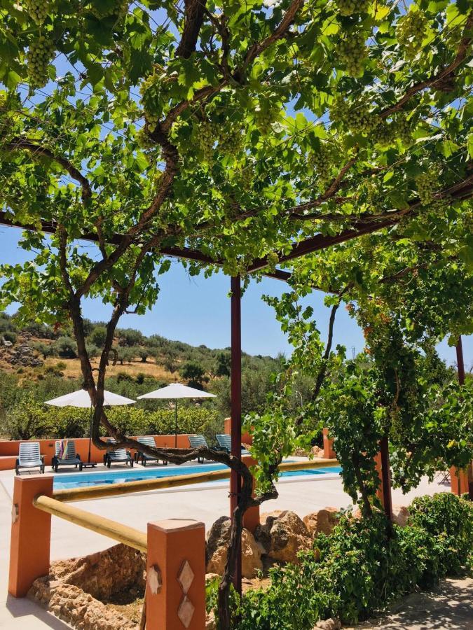 Casa Rural Antonio Y Esperanza Periana エクステリア 写真