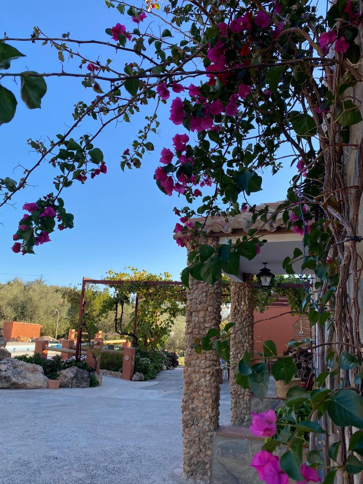 Casa Rural Antonio Y Esperanza Periana エクステリア 写真