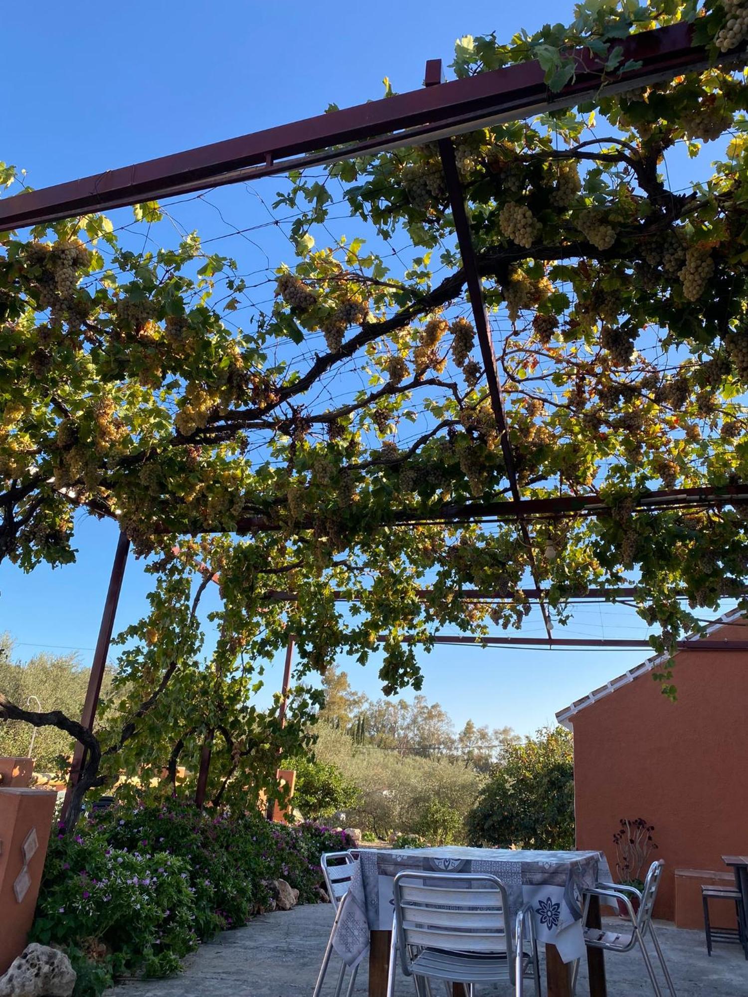 Casa Rural Antonio Y Esperanza Periana エクステリア 写真