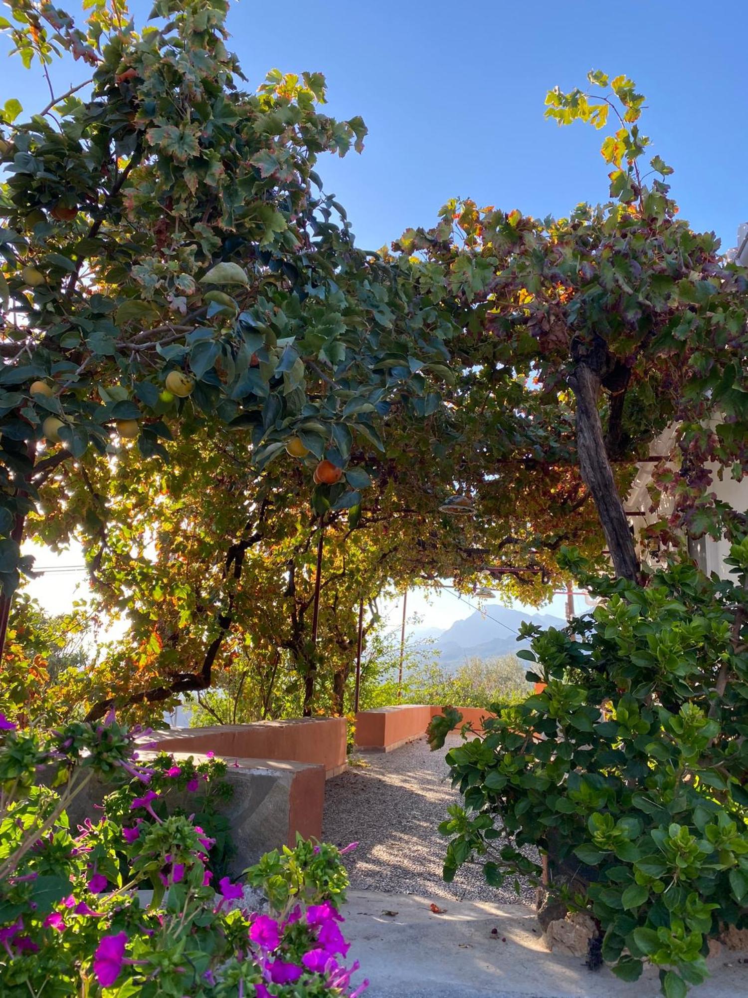 Casa Rural Antonio Y Esperanza Periana エクステリア 写真