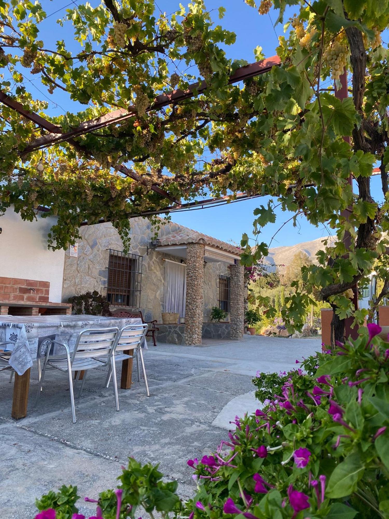 Casa Rural Antonio Y Esperanza Periana エクステリア 写真