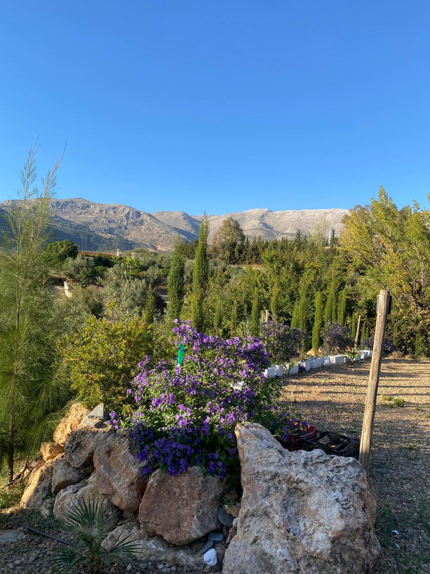 Casa Rural Antonio Y Esperanza Periana エクステリア 写真