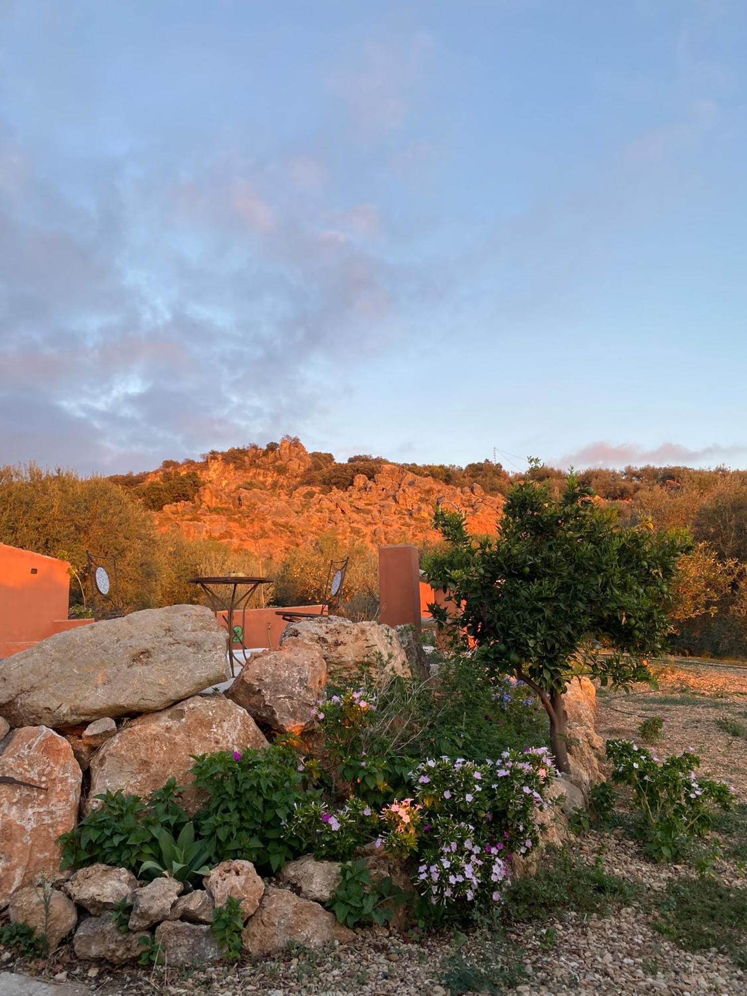 Casa Rural Antonio Y Esperanza Periana エクステリア 写真