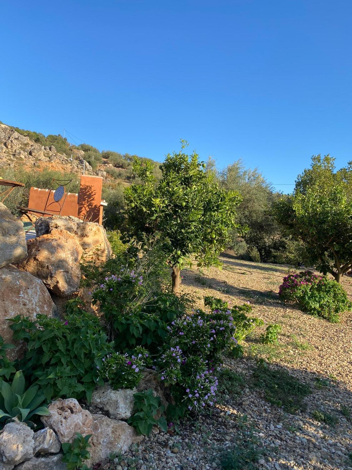Casa Rural Antonio Y Esperanza Periana エクステリア 写真